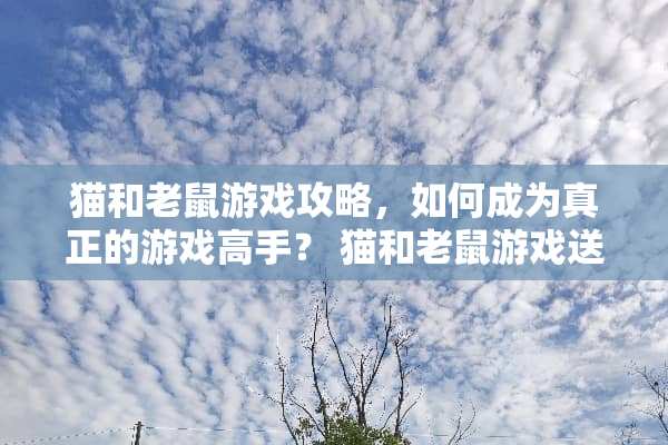 猫和老鼠游戏攻略，如何成为真正的游戏高手？ 猫和老鼠游戏送人攻略