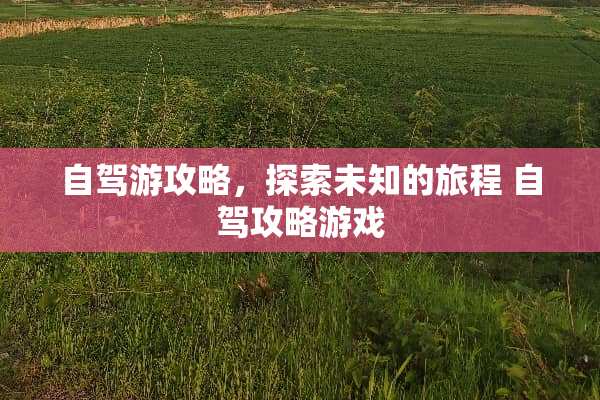 自驾游攻略，探索未知的旅程 自驾攻略游戏