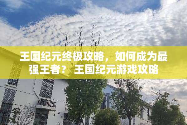 王国纪元终极攻略，如何成为最强王者？ 王国纪元游戏攻略