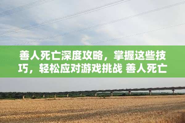 善人死亡深度攻略，掌握这些技巧，轻松应对游戏挑战 善人死亡攻略