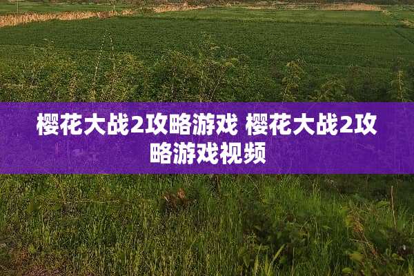 樱花大战2攻略游戏 樱花大战2攻略游戏视频
