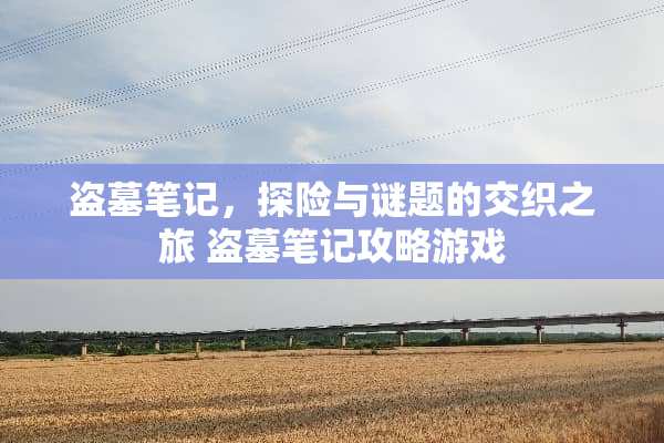 盗墓笔记，探险与谜题的交织之旅 盗墓笔记攻略游戏