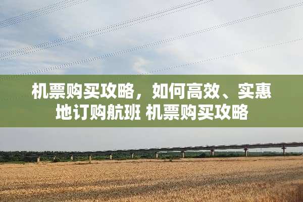 机票购买攻略，如何高效、实惠地订购航班 机票购买攻略