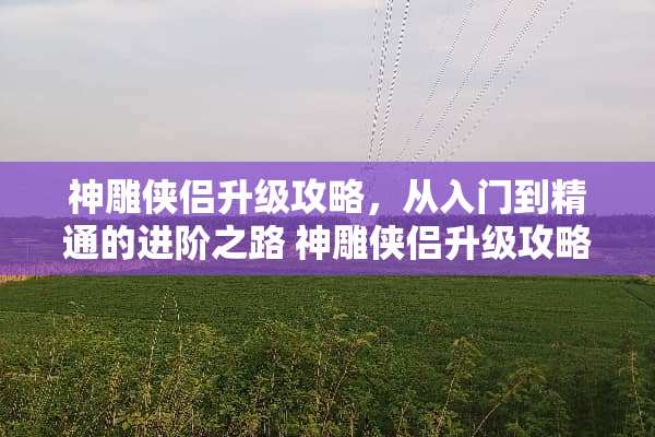 神雕侠侣升级攻略，从入门到精通的进阶之路 神雕侠侣升级攻略游戏