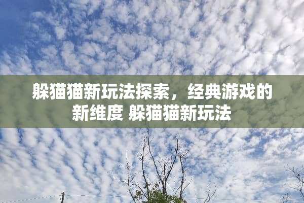 ***新玩法探索，经典游戏的新维度***新玩法