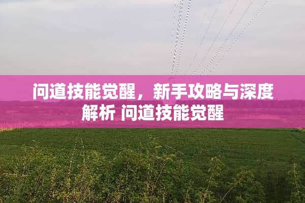 问道技能觉醒，新手攻略与深度解析 问道技能觉醒
