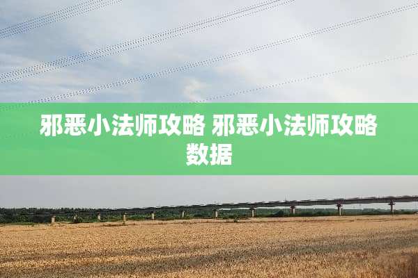 **小法师攻略**小法师攻略数据
