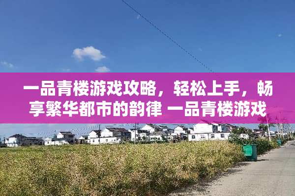 一品**游戏攻略，轻松上手，畅享繁华都市的韵律 一品**游戏攻略