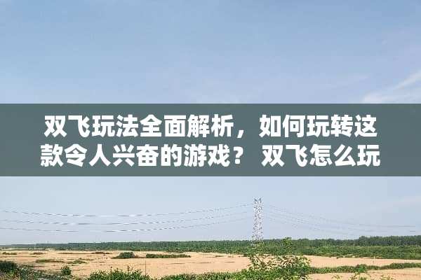 双飞玩法全面解析，如何玩转这款令人兴奋的游戏？ 双飞怎么玩法介绍