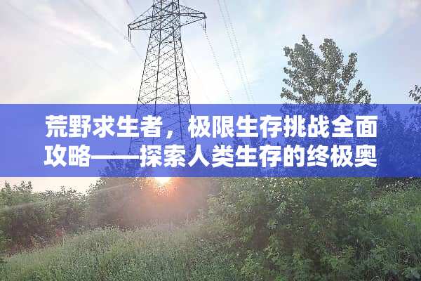 荒野求生者，极限生存挑战全面攻略——探索人类生存的终极奥秘 人类极限生存游戏攻略