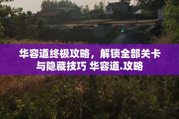 华容道终极攻略，解锁全部关卡与隐藏技巧 华容道.攻略