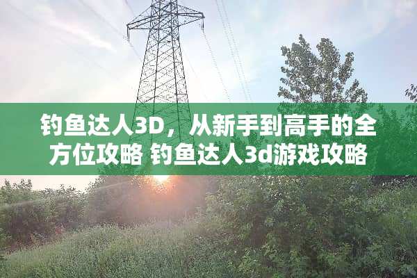 钓鱼达人3D，从新手到高手的全方位攻略 钓鱼达人3d游戏攻略