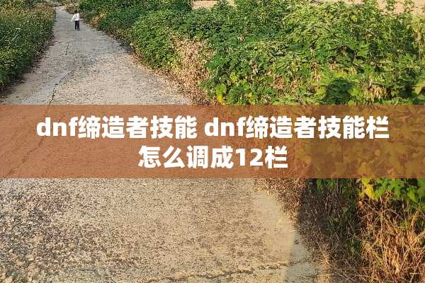 dnf缔造者技能 dnf缔造者技能栏怎么调成12栏