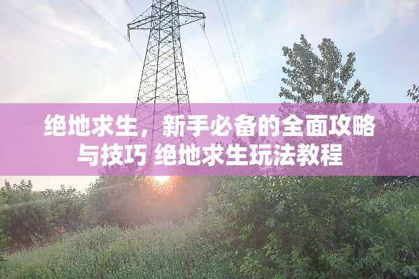 绝地求生，新手必备的全面攻略与技巧 绝地求生玩法教程