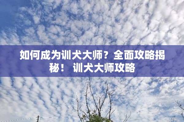 如何成为训犬大师？全面攻略揭秘！ 训犬大师攻略