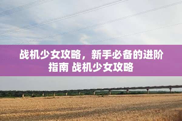 战机少女攻略，新手必备的进阶指南 战机少女攻略