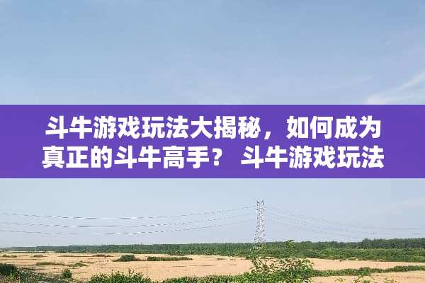 斗牛游戏玩法大揭秘，如何成为真正的斗牛高手？ 斗牛游戏玩法介绍