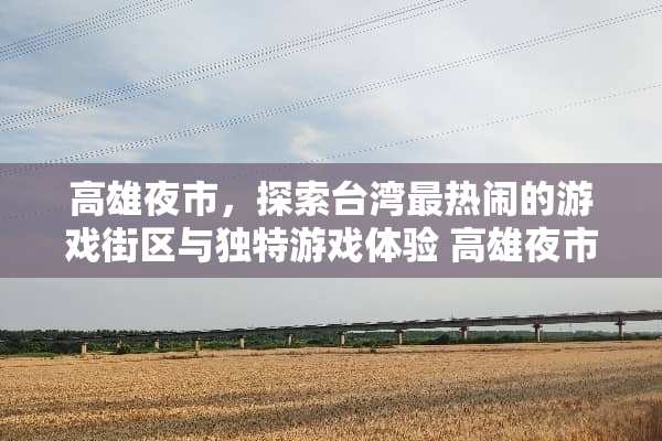 高雄夜市，探索**最热闹的游戏街区与独特游戏体验 高雄夜市游戏攻略
