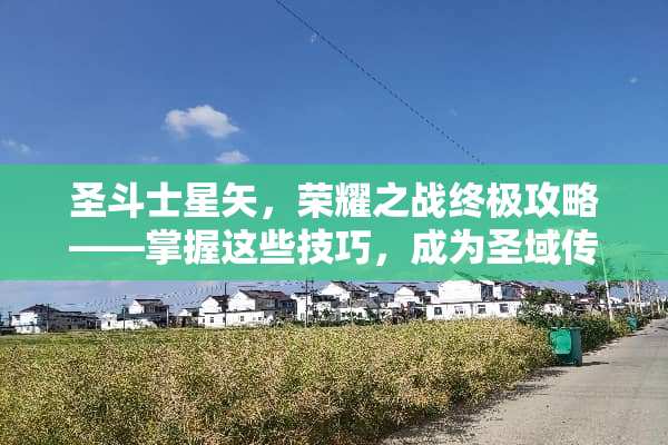 圣斗士星矢，荣耀之战终极攻略——掌握这些技巧，成为圣域传奇 圣斗士星矢游戏攻略