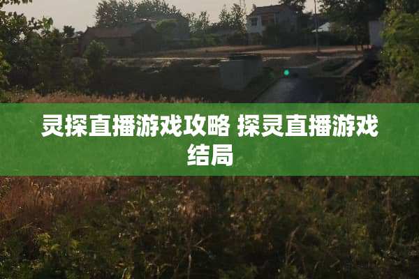 灵探直播游戏攻略 探灵直播游戏结局