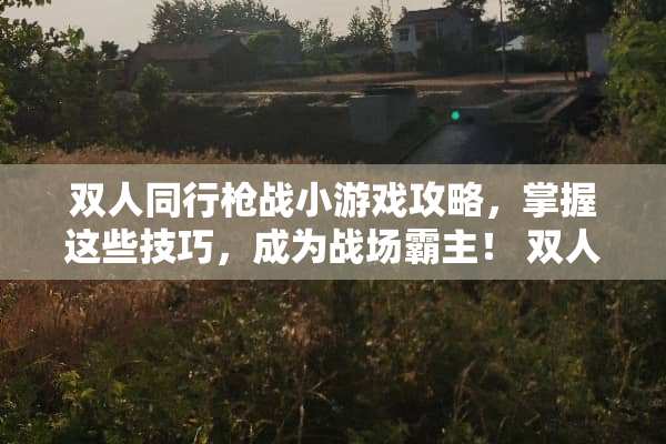 双人同行*战小游戏攻略，掌握这些技巧，成为战场霸主！ 双人同行*战小游戏攻略