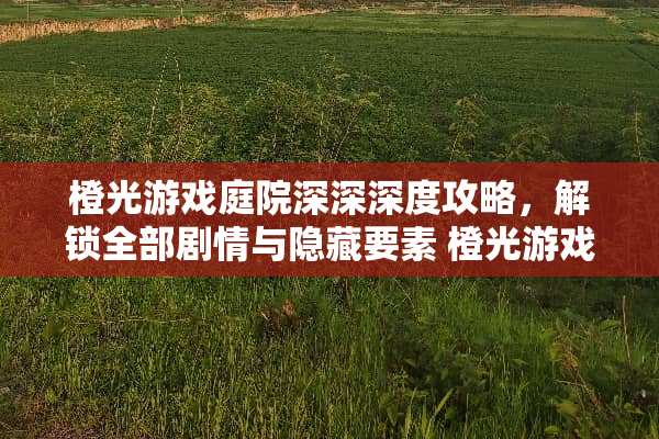 橙光游戏庭院深深深度攻略，解锁全部剧情与隐藏要素 橙光游戏庭院深深攻略