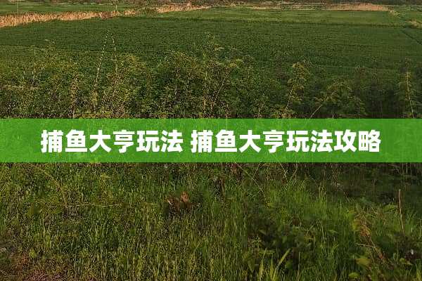 捕鱼大亨玩法 捕鱼大亨玩法攻略