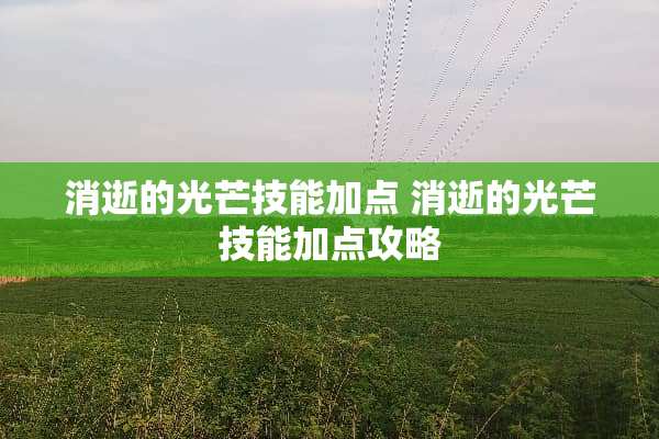 消逝的光芒技能加点 消逝的光芒技能加点攻略