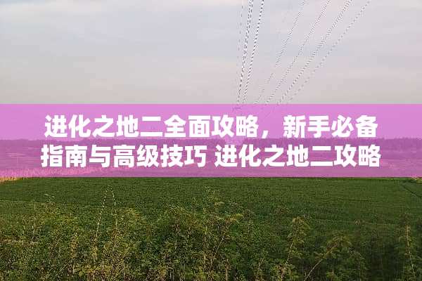 进化之地二全面攻略，新手必备指南与高级技巧 进化之地二攻略