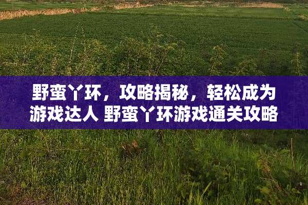 野蛮丫环，攻略揭秘，轻松成为游戏达人 野蛮丫环游戏通关攻略