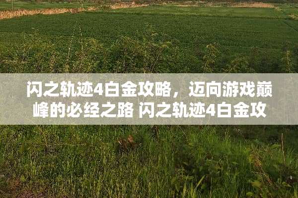 闪之轨迹4白金攻略，迈向游戏巅峰的必经之路 闪之轨迹4白金攻略