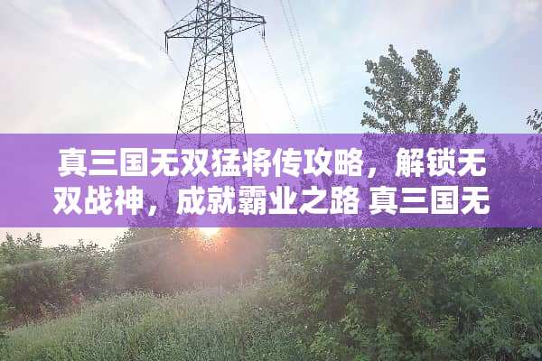 真三国无双猛将传攻略，解锁无双战神，成就霸业之路 真三国无双猛将传攻略