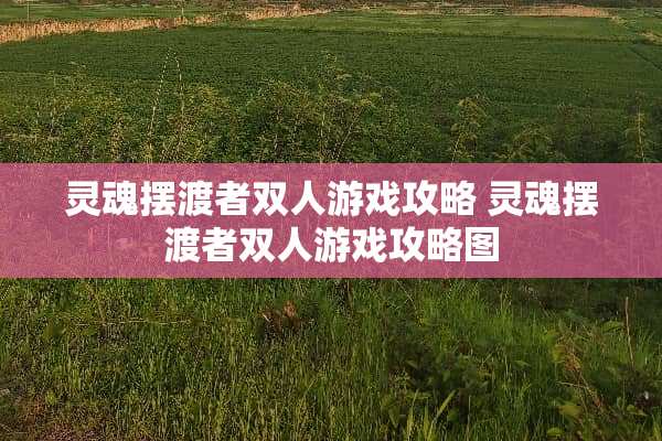 灵魂摆渡者双人游戏攻略 灵魂摆渡者双人游戏攻略图