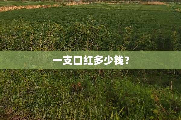 一支口红多少钱？