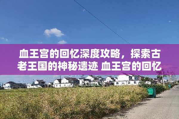 血王宫的回忆深度攻略，探索古老王国的神秘遗迹 血王宫的回忆攻略