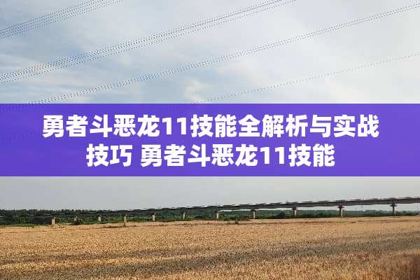勇者斗恶龙11技能全解析与实战技巧 勇者斗恶龙11技能