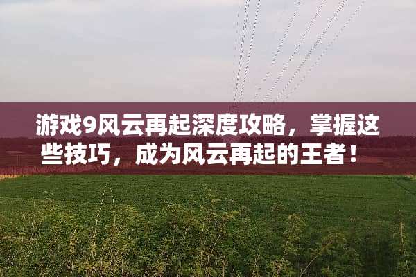 游戏9风云再起深度攻略，掌握这些技巧，成为风云再起的王者！ 游戏9风云再起攻略