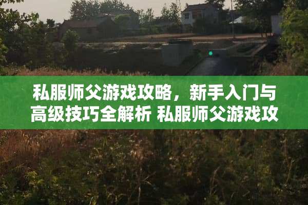 **师父游戏攻略，新手入门与高级技巧全解析**师父游戏攻略