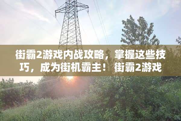街霸2游戏内战攻略，掌握这些技巧，成为街机霸主！ 街霸2游戏内战攻略