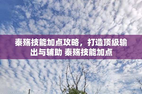 秦殇技能加点攻略，打造**输出与辅助 秦殇技能加点