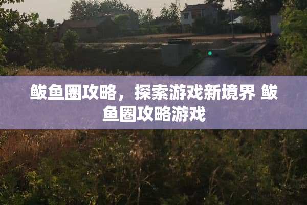 鲅鱼圈攻略，探索游戏新境界 鲅鱼圈攻略游戏