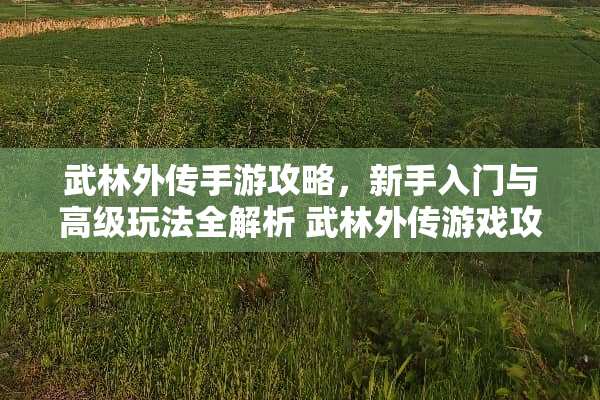 武林外传手游攻略，新手入门与高级玩法全解析 武林外传游戏攻略