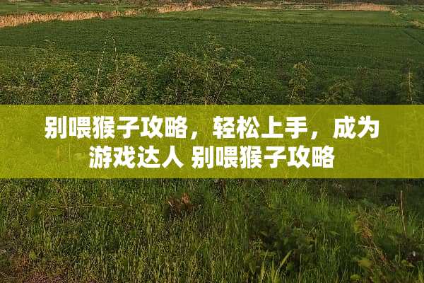 别喂猴子攻略，轻松上手，成为游戏达人 别喂猴子攻略