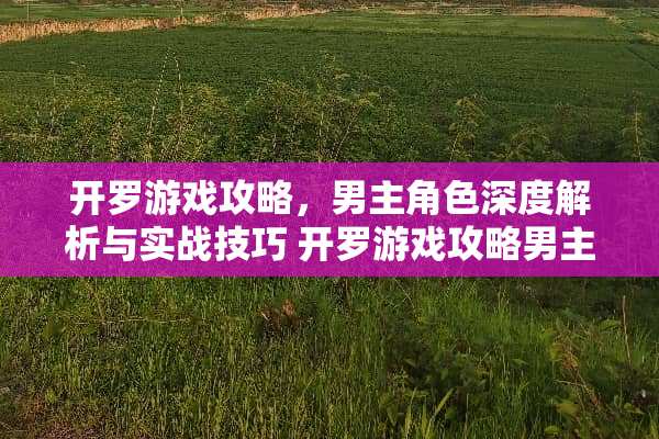 开罗游戏攻略，男主角色深度解析与实战技巧 开罗游戏攻略男主