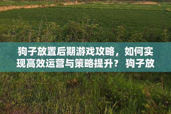 狗子放置后期游戏攻略，如何实现高效运营与策略提升？ 狗子放置后期游戏攻略