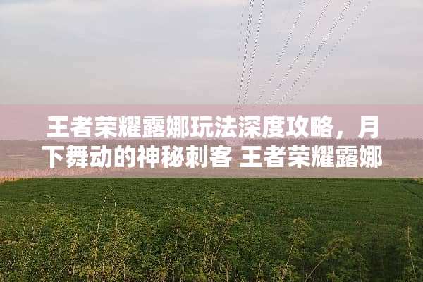 王者荣耀露娜玩法深度攻略，月下舞动的神秘刺客 王者荣耀露娜玩法攻略