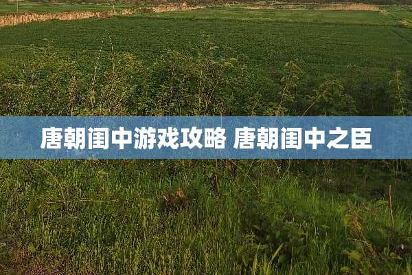 唐朝闺中游戏攻略 唐朝闺中之臣
