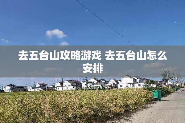 去五台山攻略游戏 去五台山怎么安排
