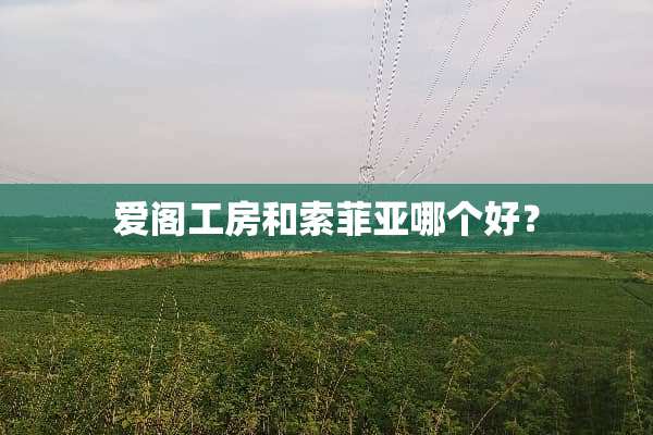 爱阁工房和索菲亚哪个好？