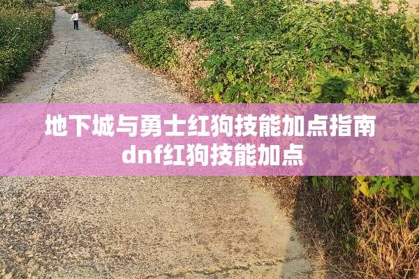 **城与勇士红狗技能加点指南 dnf红狗技能加点